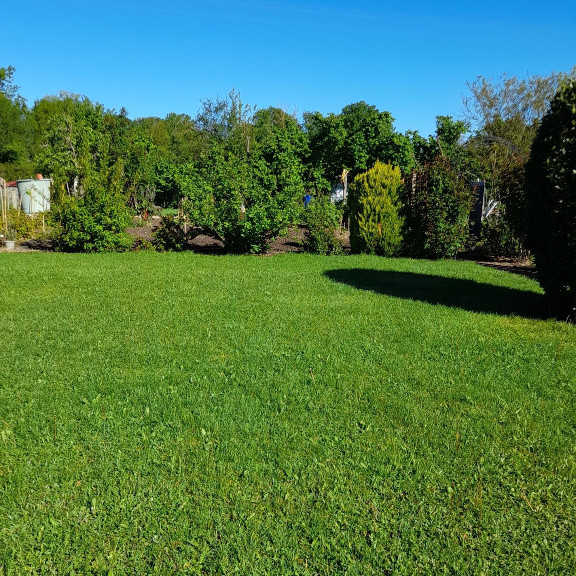 Les Abelias Bed & Breakfast Hauterive  Bagian luar foto