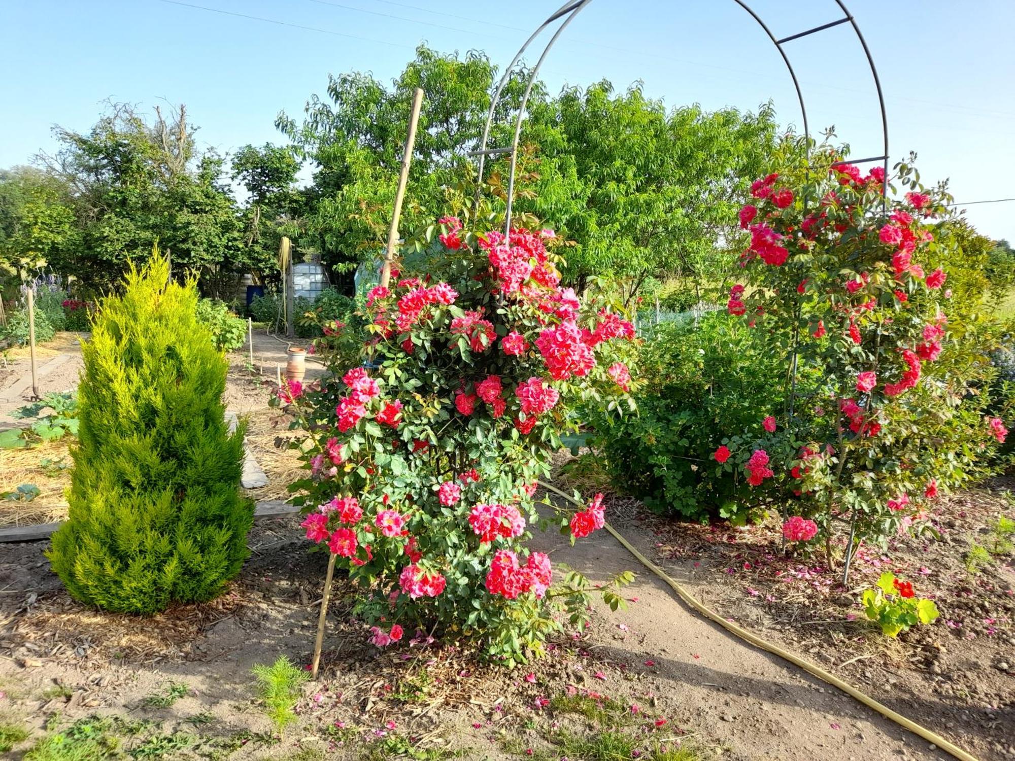 Les Abelias Bed & Breakfast Hauterive  Bagian luar foto