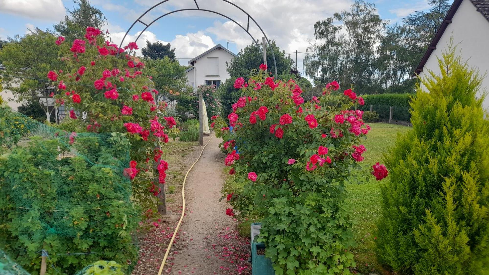 Les Abelias Bed & Breakfast Hauterive  Bagian luar foto